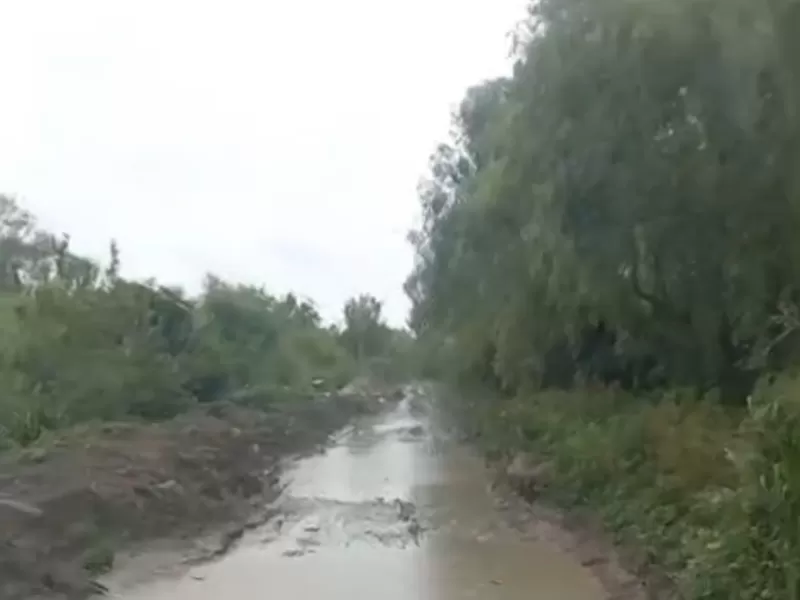 El acceso a Palo Blanco seriamente da&ntilde;ado en plena temporada