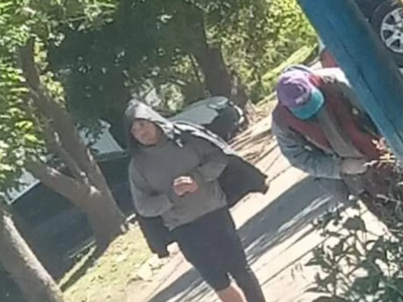 Aparecieron videos de presuntas mecheras en Berisso: vecinos denuncian una seguidilla de robos en comercios locales