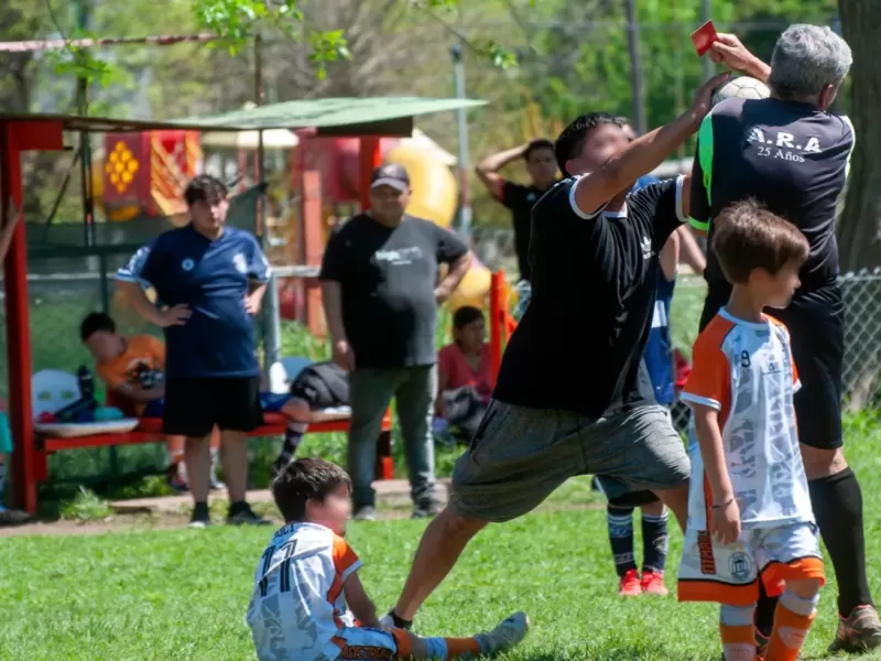 Escándalo en el fútbol infantil platense: un padre ingresó al campo y agredió al árbitro