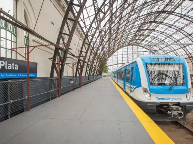 Un hombre se tiró a las vías del tren de la Estación de La Plata y sufrió amputaciones