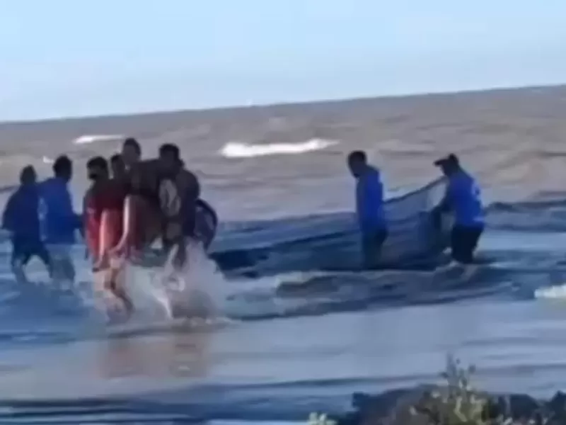 Operativo coordinado permiti&oacute; un r&aacute;pido traslado tras una picadura de raya en Isla Paulino