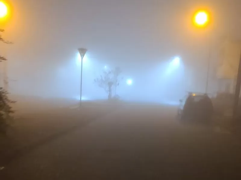 Alerta violeta por niebla: Berisso y gran parte de la provincia bajo advertencia del SMN
