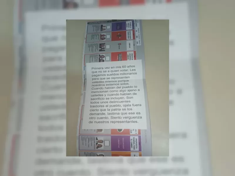Una carta en una boleta electoral de La Plata generó repercusión: “Siento vergüenza de nuestros representantes”