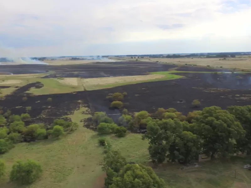 As&iacute; fue el gran incendio en el Camino Real, que mantuvo en vilo a Berisso