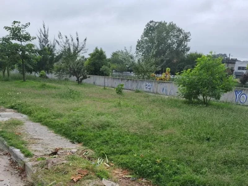 Los vecinos denuncian abandono en la calle Carlos Gardel