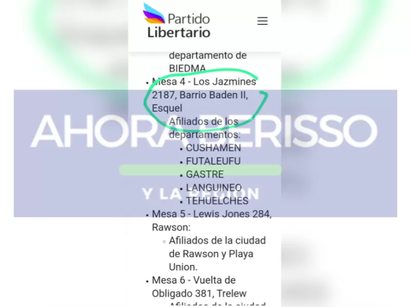Irregularidades internas del Partido Libertario generan tensión en Chubut