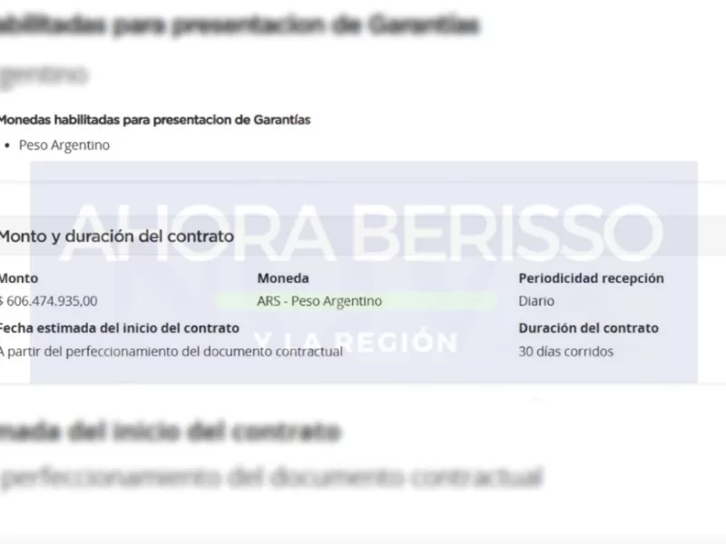 Licitación millonaria en Buenos Aires para iluminación genera ola de críticas