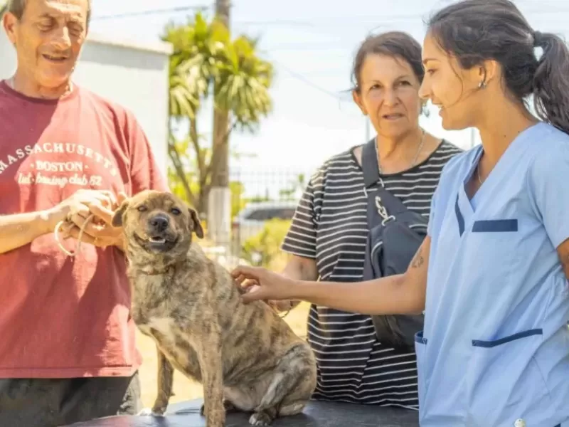 Nueva jornada veterinaria gratuita en Berisso para perros y gatos