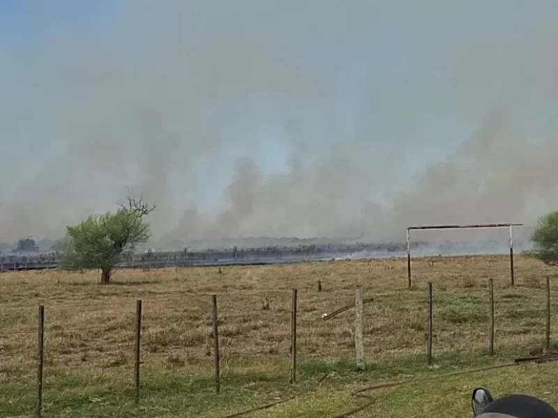 Así fue el gran incendio en el Camino Real, que mantuvo en vilo a Berisso