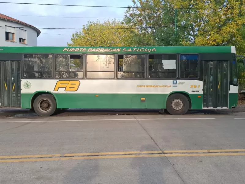 Mujer demorada por tirarle un piedrazo a un micro