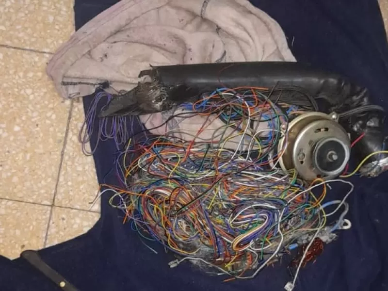Lo sorprendieron in fraganti: un hombre fue detenido mientras robaba cables en Berisso
