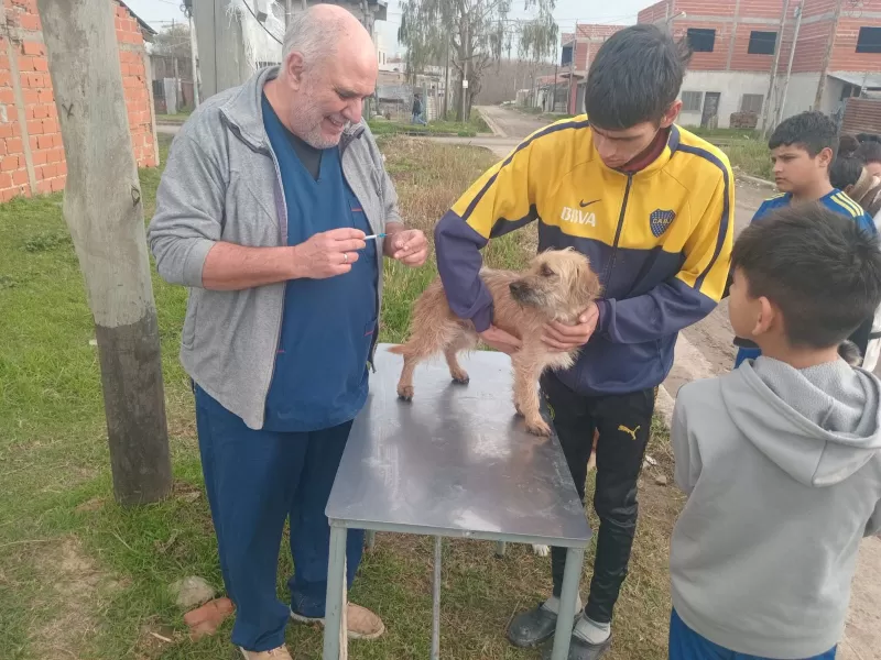 Vacunación antirrábica en el Club "El Carmen"