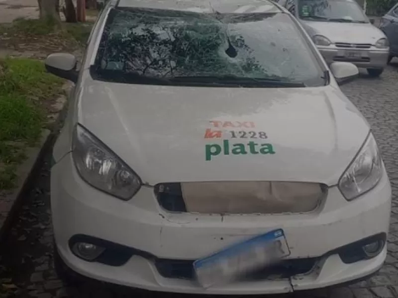 Un taxista se quedó dormido al volante y terminó adentro de una plaza