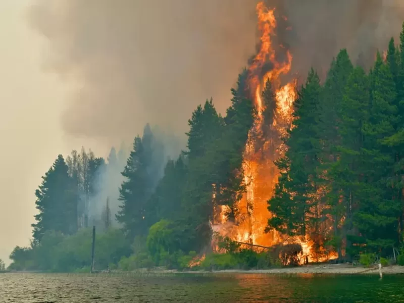 Colecta solidaria para ayudar a los afectados por los incendios en la Patagonia