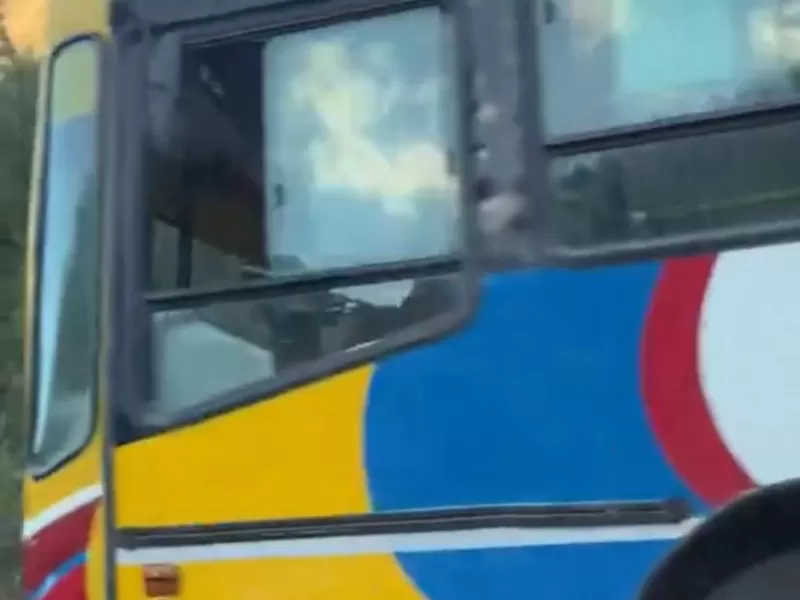 Un colectivo de la Línea 202 sorprendió en Mendoza y se volvió viral en redes sociales