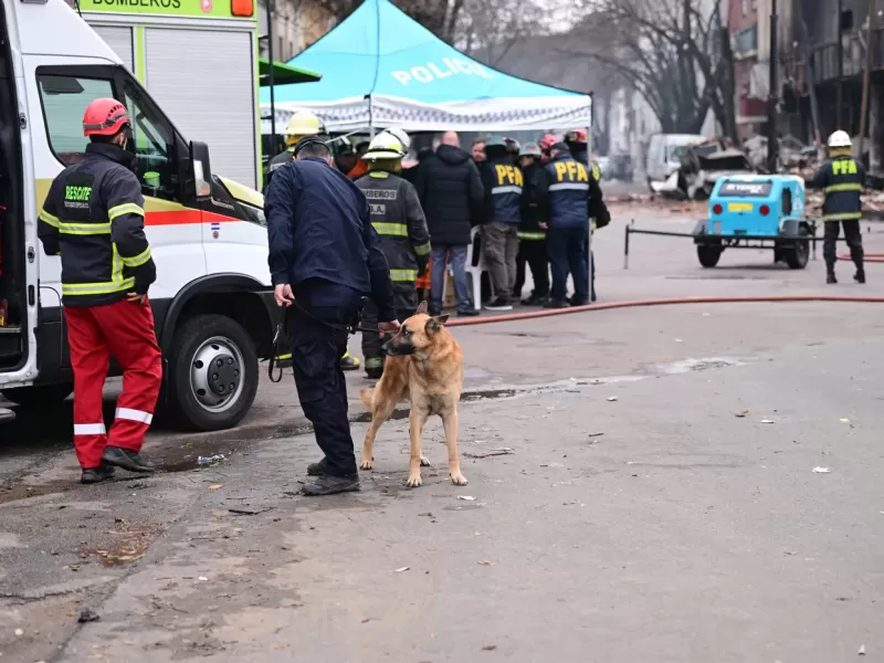 Llevan perros al lugar del incendio y derrumbe en La Plata para determinar si hay cuerpos entre los escombros