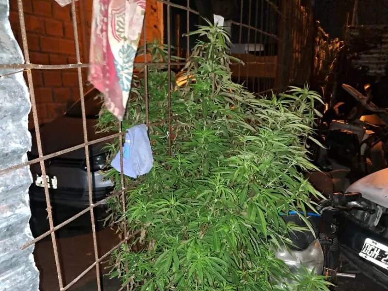 Allanamiento por el robo de una bicicleta terminó con el hallazgo de droga y autopartes con pedido de secuestro