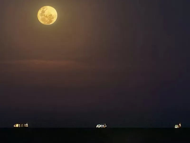 Convocan a una nueva caminata por el ecosistema ribere&ntilde;o de Berisso bajo la luz de la luna llena
