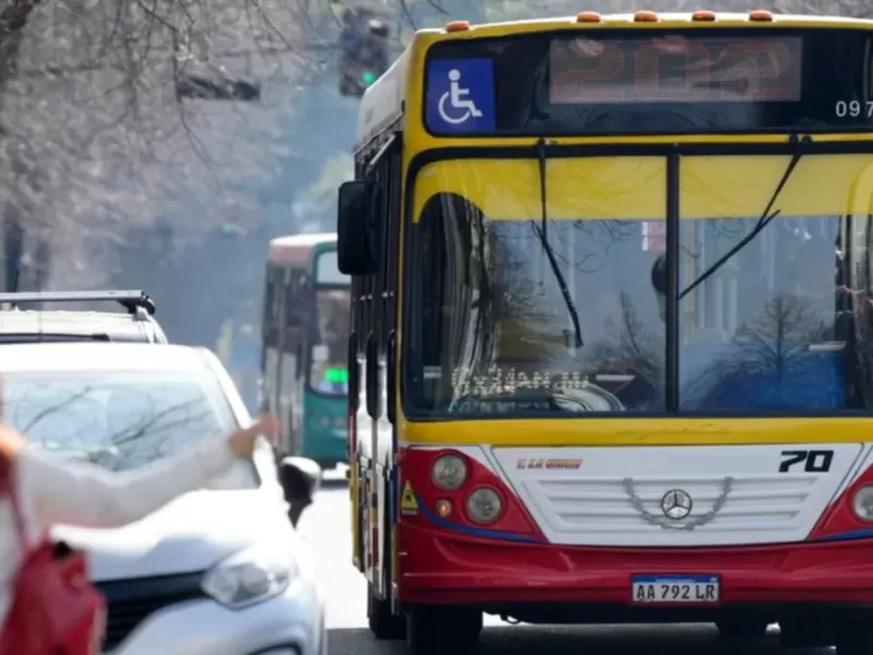 La L&iacute;nea 202 reduce su frecuencia durante el verano: c&oacute;mo funciona el servicio en el per&iacute;odo