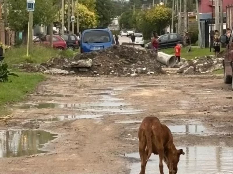 Vecinos de Villa Progreso denuncian que el barrio está totalmente abandonado