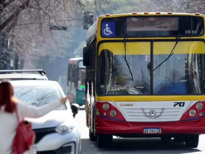 Berisso: la Municipalidad retirará paradas de colectivos para mejorar el tránsito