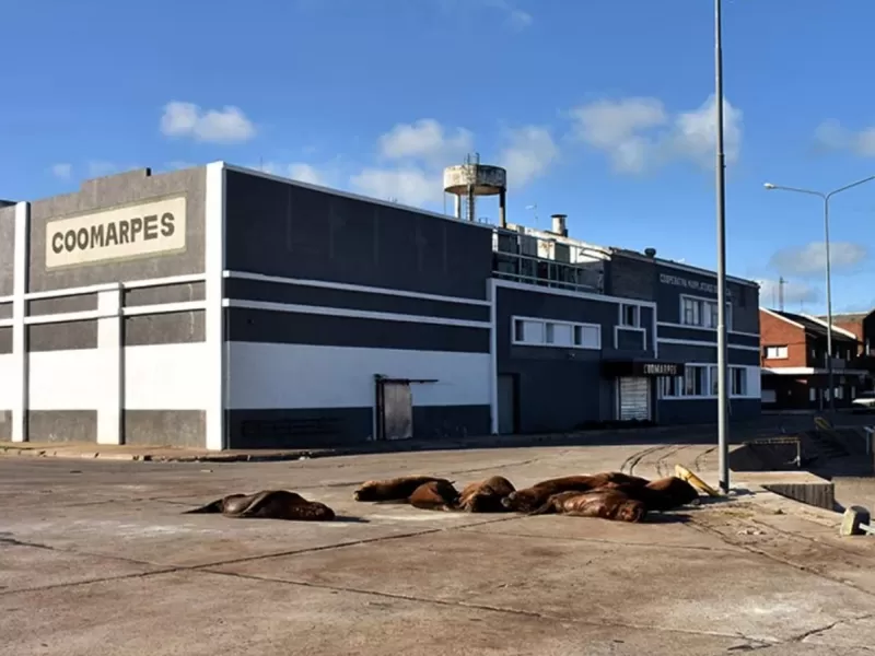 Acusan falta de par&aacute;metros objetivos en la investigaci&oacute;n por contaminaci&oacute;n que avanza en Mar del Plata