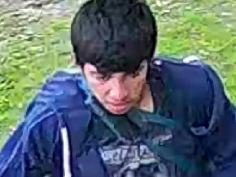 Cámaras registraron un robo en La Plata mientras la víctima miraba televisión