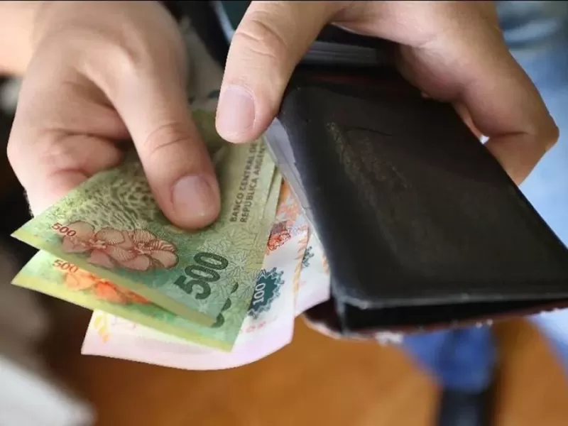 El Gobierno fija un salario mínimo que no cubre ni la canasta de básica