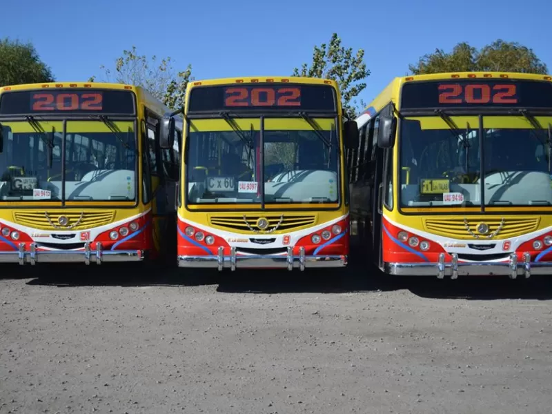 Las empresas de transporte evalúan un aumento del boleto de colectivo