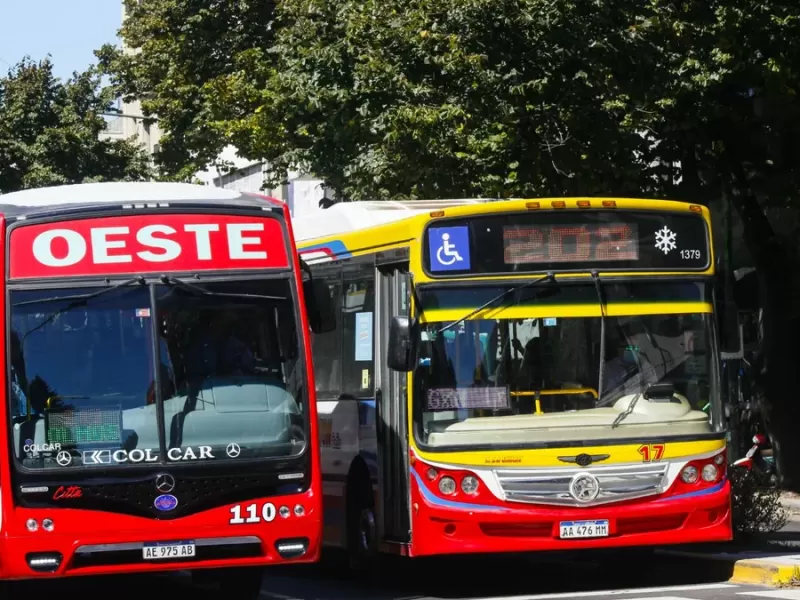 Entró en vigencia el aumento del boleto: el mínimo en Berisso, Ensenada y La Plata ya supera los $700