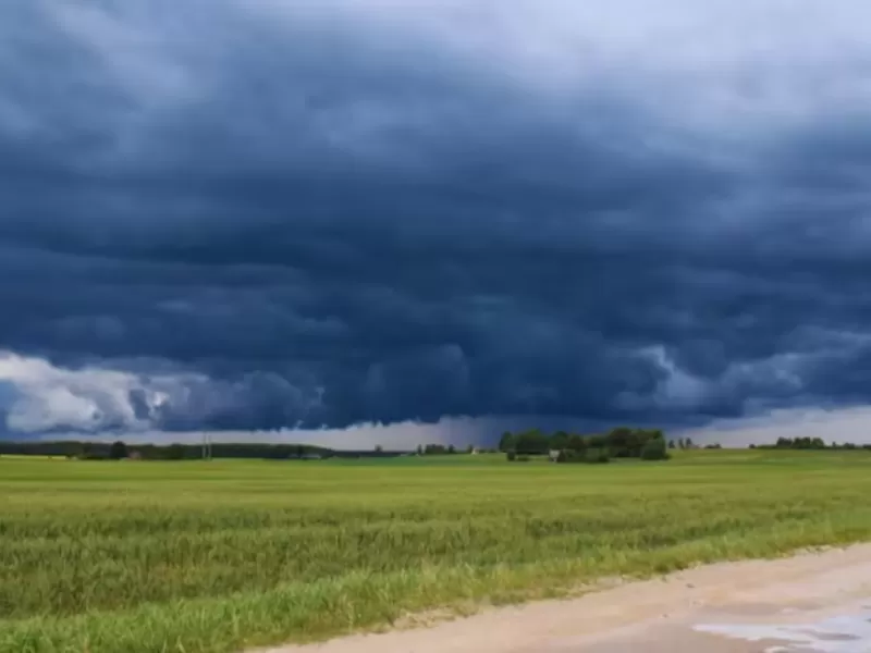 El Ni&ntilde;o podr&iacute;a traer m&aacute;s lluvias y temperaturas superiores a lo normal durante el invierno