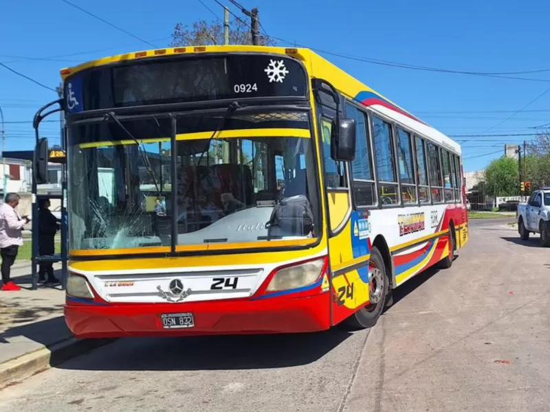 Falleció la mujer atropellada por un micro de la línea 202 en nuestra ciudad