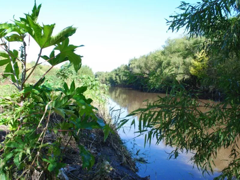 Se realizará un recorrido por los humedales berissenses