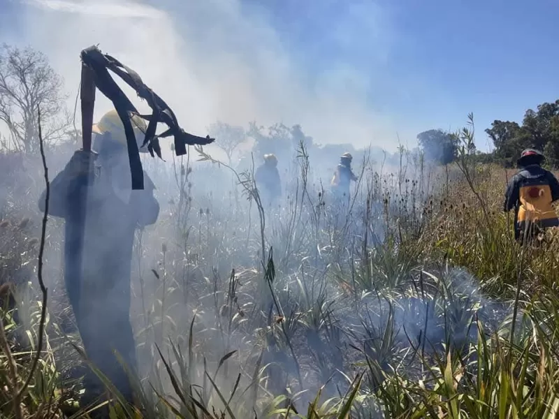 Preocupa el aumento de incendios de pastizales: Bomberos realizan entre 4 y 5 intervenciones diarias en Berisso