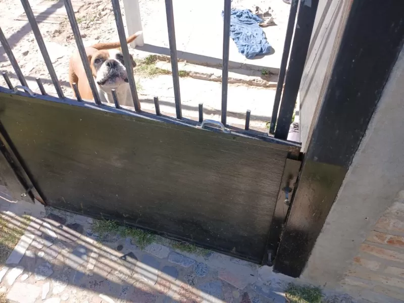 Vecinos de Villa Progreso alertan por el estado del Canal 66 y el riesgo de inundaciones