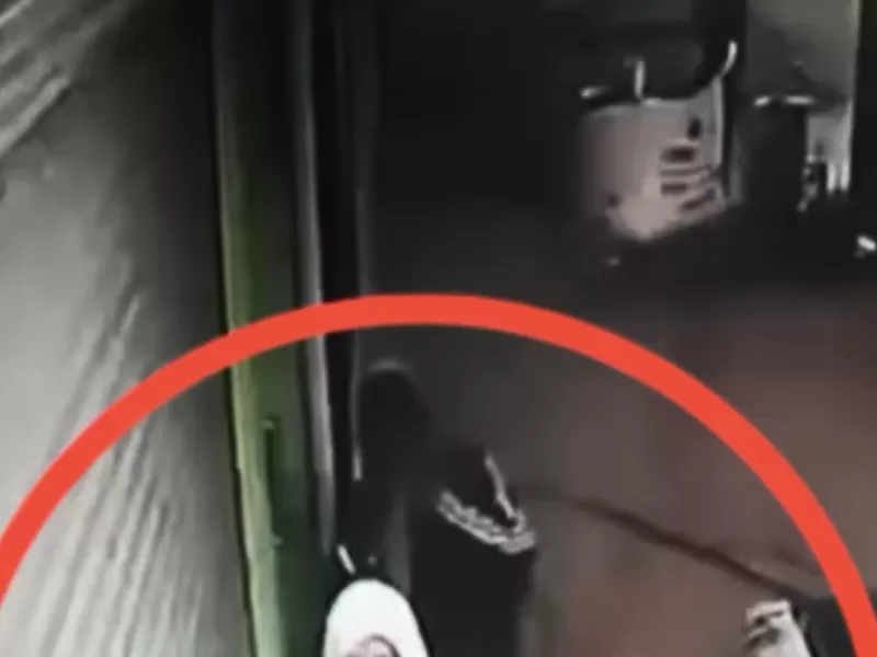 Inseguridad en Berisso: robo y destrozos en una vivienda