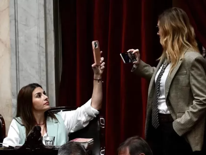 Estos son los diputados que nos representan: Lemoine y Pagano a los grito en el congreso