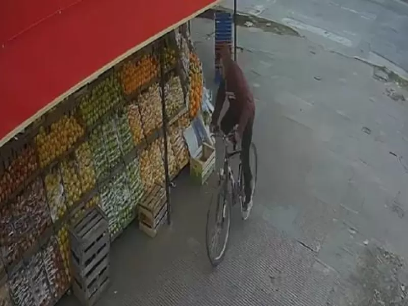 Los Hornos: a plena luz del día un sujeto se robó una bicicleta de una verduleria