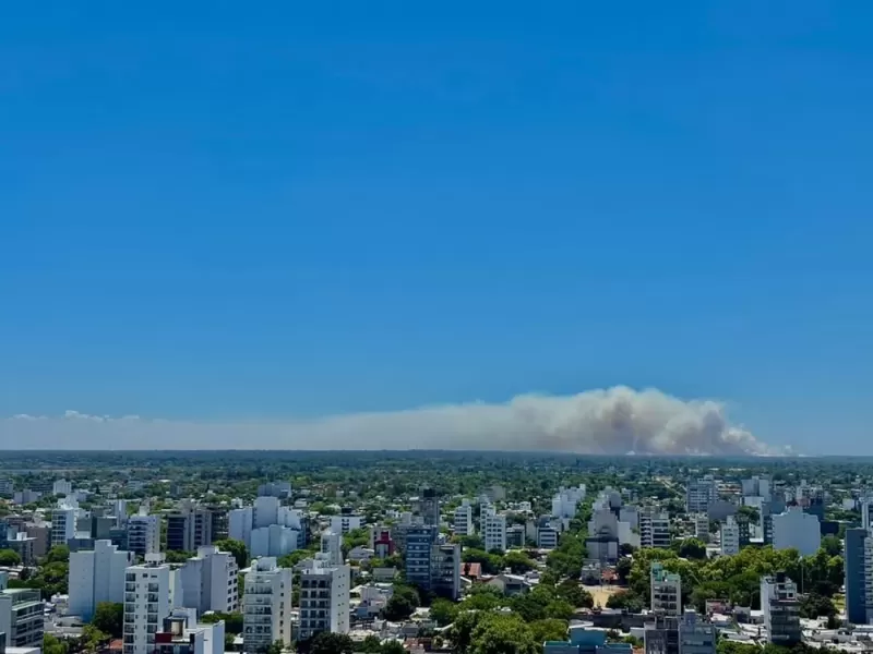 Nuevo incendio en la Reserva de Punta Lara: crece la preocupación por posibles ataques intencionales