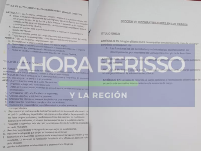 Irregularidades internas del Partido Libertario generan tensión en Chubut