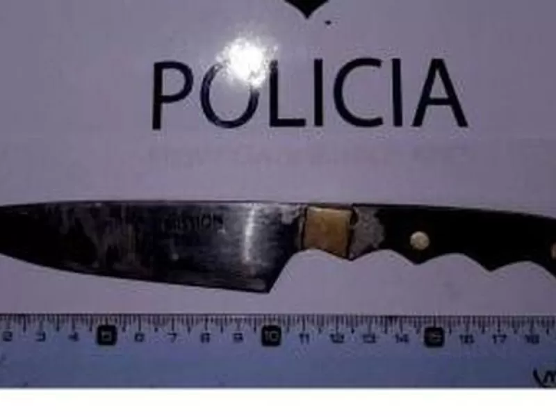 Violencia de género en Berisso: una mujer fue herida con una cuchilla y su pareja quedó detenida