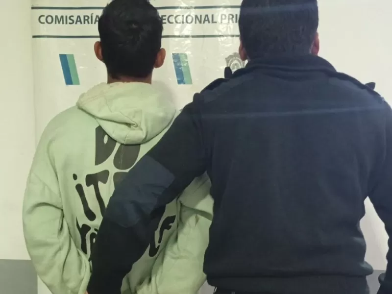 Operativos en la Fiesta del Inmigrante: interceptaron en el Parque C&iacute;vico a un joven buscado por la Justicia