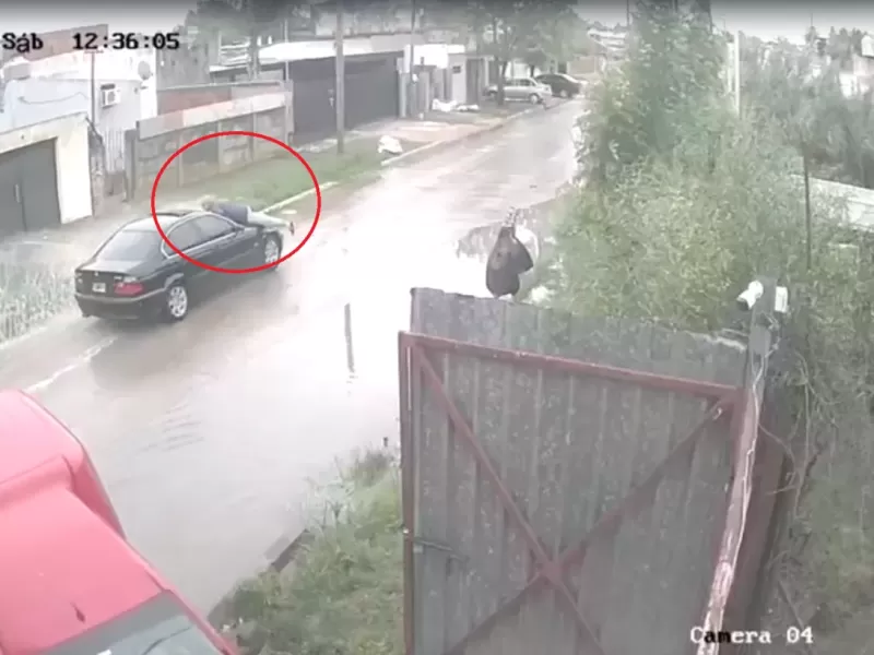 Impactante episodio en Berisso: un taxista fue arrastrado más de 100 metros sobre el capot tras reclamar un choque