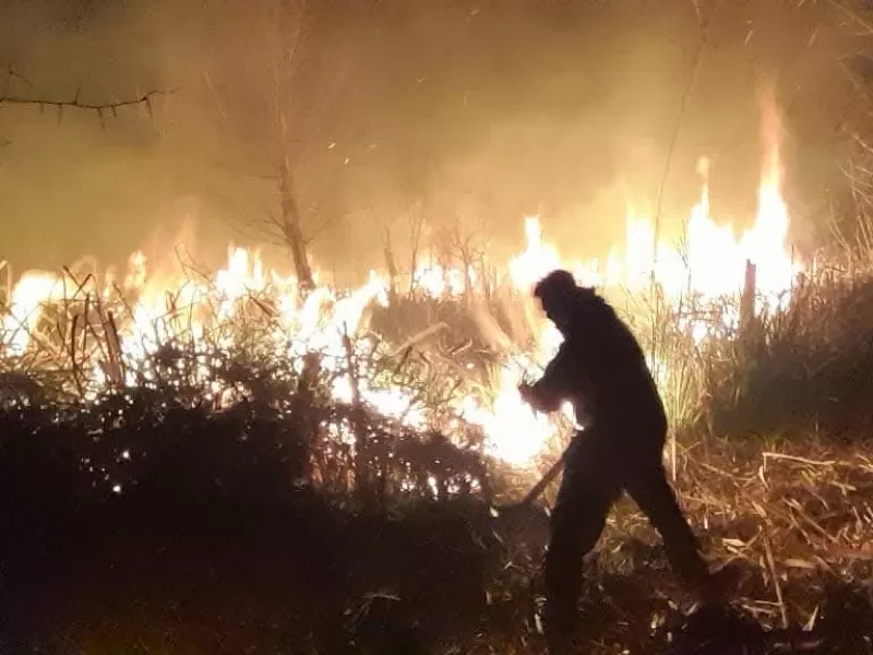 Preocupa el aumento de incendios de pastizales: Bomberos realizan entre 4 y 5 intervenciones diarias en Berisso