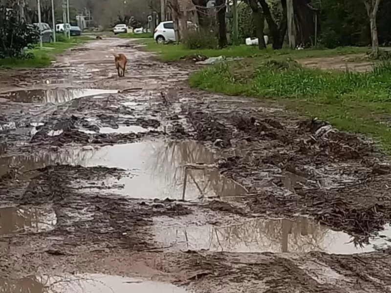 Vecinos de la calle 126 siguen reclamando por el mal estado de las calles