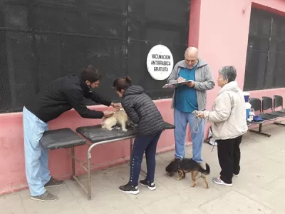 Vacunación antirrábica en dos puntos de la ciudad