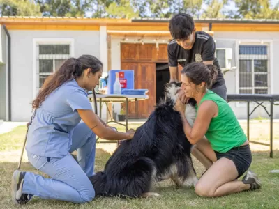 Jornadas veterinarias gratuitas en Berisso: este es el cronograma de mayo