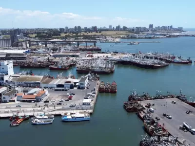 Denuncian que Minguillón omitió documentos esenciales en un procedimiento ambiental de Mar del Plata