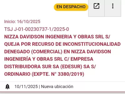 El Caso Nizza Davidson obliga a revisar el alcance del artículo 7 de la ley 23.928