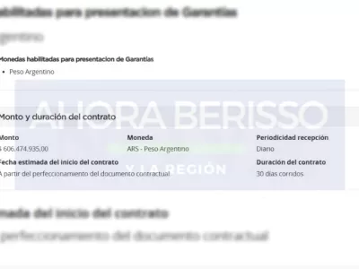 Licitación millonaria en Buenos Aires para iluminación genera ola de críticas